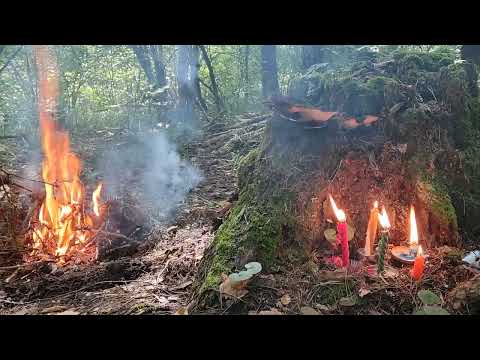 Видео: чистка спины и поясницы