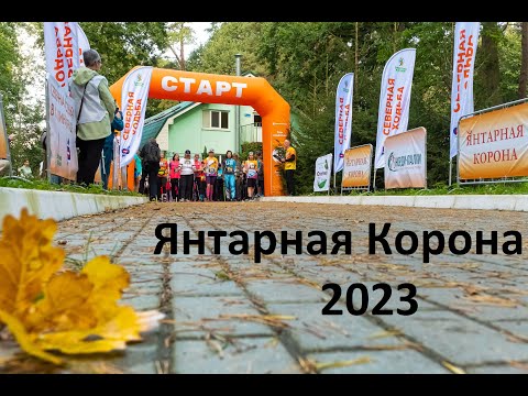 Видео: Янтарная Корона 2023