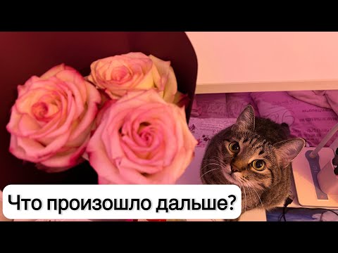Видео: Продолжение нашей истории про абьюзера