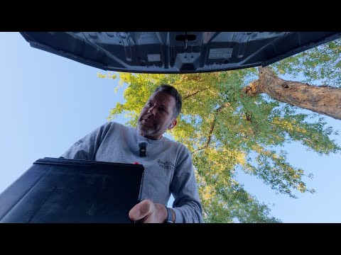 Видео: Когда отпуск заканчивается, и реальность даёт о себе знать ⭐