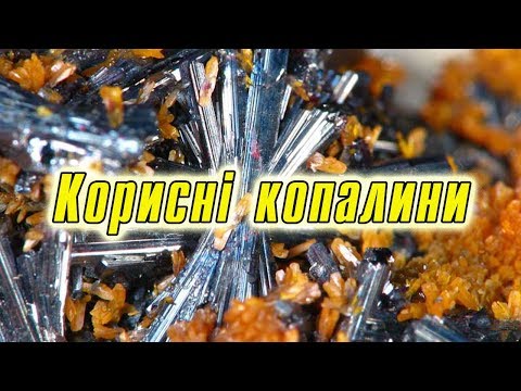 Видео: Корисні копалини