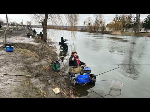 Видео: Зимовий Кубок Баунті .Фідер. Бурштинський канал.3.02.2024