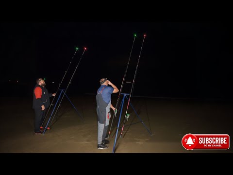 Видео: Возвращаемся в залив и ловим рыбу 🎣