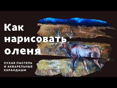 Видео: Как нарисовать оленя сухой пастелью.