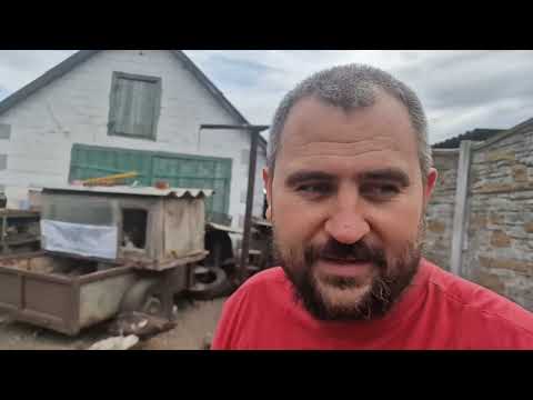 Видео: последние цыплята)