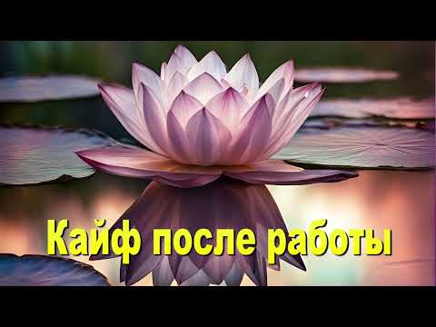 Видео: Кайф после работы!