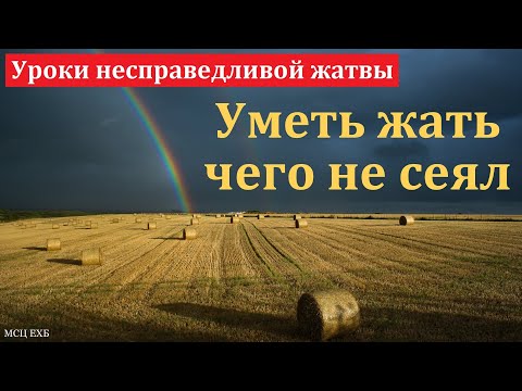 Видео: "Уметь жать чего не сеял". В. Шляховой. МСЦ ЕХБ.