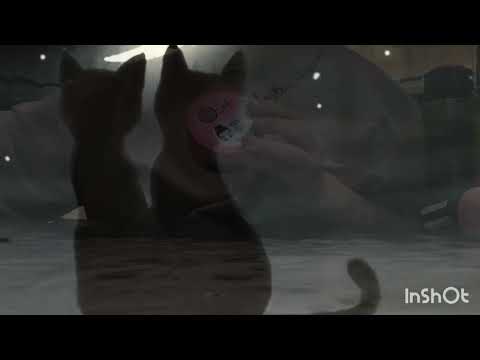 Видео: 22 октября 2025 г.