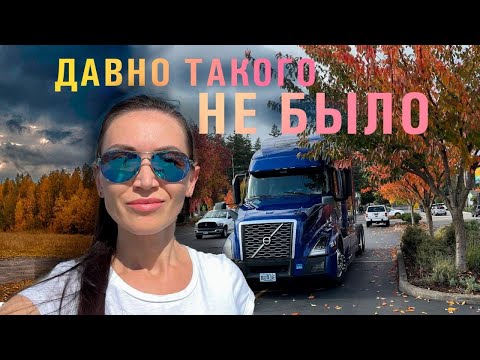 Видео: Много работы на Амазоне / Жизнь налаживается или будет спад?