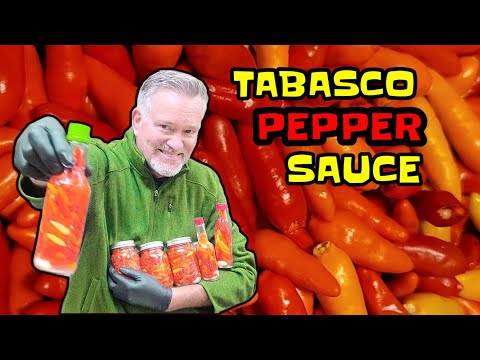 Видео: Вот мой верный рецепт перечного соуса табаско... Великолепные растения! #tabasco