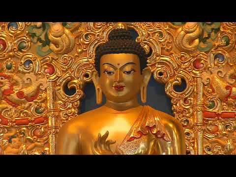 Видео: ХҮРЭЭ ЦАМ-ДАНШҮГ НААДАМ 2022. ЖАХОР ЦАМЫН ХУРАЛ