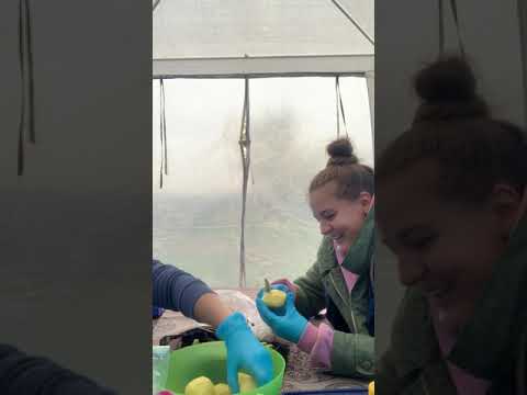 Видео: КАЗАН КЕБАБ (КАБОБ) 1 часть