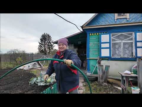 Видео: Дача меня так и манит // Нахожу себе работу // Обед у мамы