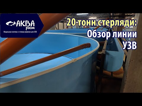 Видео: Какой должна быть УЗВ на 20 тонн рыбы в год #система #узв #рыба #бизнесвдеревне