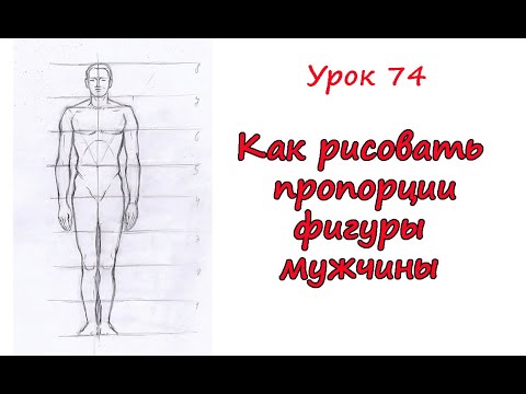 Видео: Пропорции фигуры мужчины. Урок 74