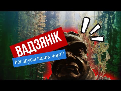 Видео: Усё пра міфічнага ўладара беларускіх вадаёмаў. Надзвычай цікавы персанаж!
