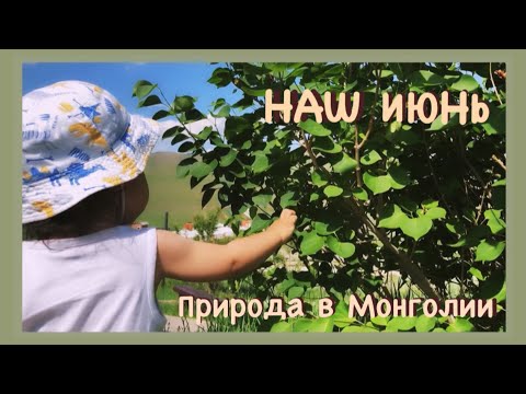 Видео: [Июнь 2022] Улан-Батор. Природа в Монголии|Коротко о том как прошел наш июнь ☕️| Маша из Монголии 🧡