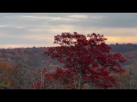 Видео: Без Любви 