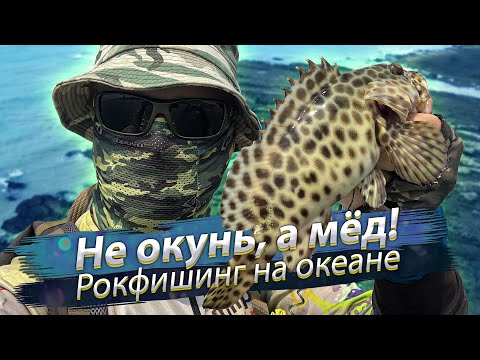 Видео: Рокфишинг - рыбалка на лёгкую снасть с берега океана. Сотовый окунь.