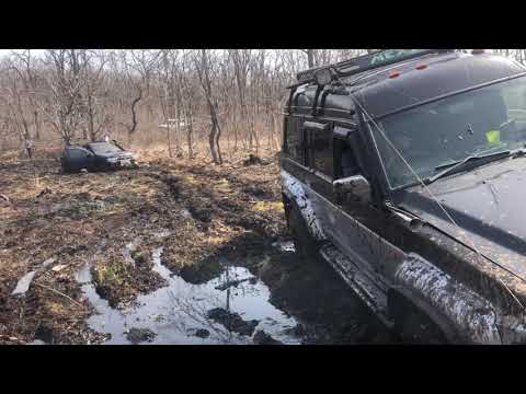 Видео: Опыт или машина? Лайт или уже трофи ? #TLC74#TLC80#terrano#safari#def#lr