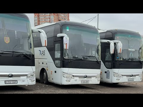 Видео: Москва-Ташкент автобус +79296934997 +998932430055 прямой рейс 14.11.2025 19:30