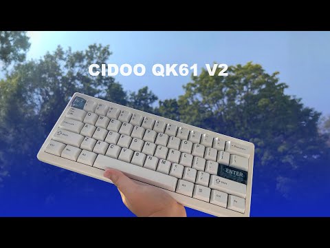 Видео: Лучшая бюджетная клавиатура? CIDOO QK61 V2