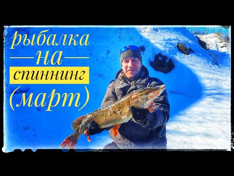 Видео: Рыбалка на спиннинг в марте. Река Пахра.