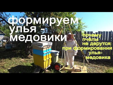 Видео: Как я формирую улья -  медовики