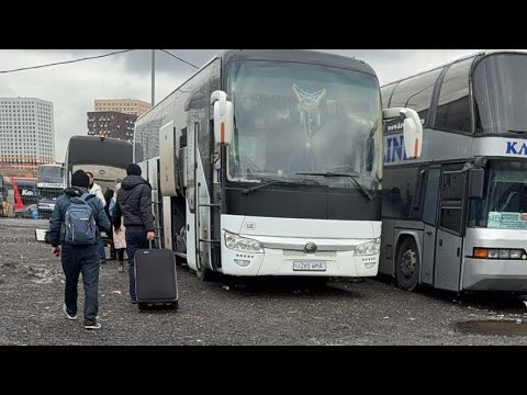 Видео: Москва Ташкент автобус +79296934997 +998932430055 прямой рейс 30.10.2025 15:00
