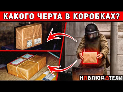 Видео: Мужчина получил странную посылку. Он думал, что это просто почта. Он ошибся - охота началась.