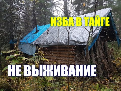 Видео: ТРЁХДНЕВНЫЙ поход в ИЗБУ! Не ВЫЖИВАНИЕ. Накрыла КРЫШУ ТЕНТОМ. Выкопала РОДНИК. 2ч