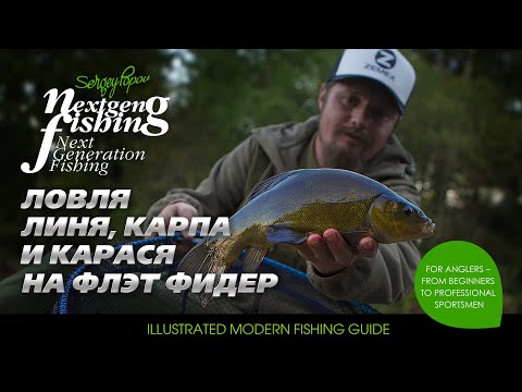 Видео: Линь, карась и карп на Flat Method Feeder / Рыбалка нового поколения