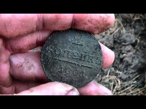 Видео: Копаю в непогоду #164