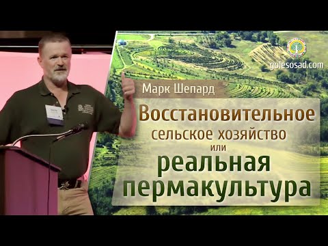 Видео: Восстановительное сельское хозяйство или реальная пермакультура! Марк Шепард.