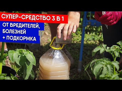 Видео: Супер-средство 3 в 1 - от вредителей, болезней + подкормка