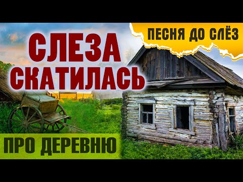 Видео: Душевная песня про деревню! ✮ Слеза скатилась - Александр Закшевский