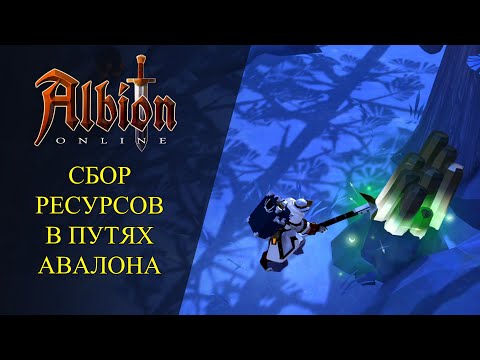 Видео: 🔴Albion online : 🔥СБОР РЕСУРСОВ - ТОЛЬКО В ПУТЯХ АВАЛОНА🔥