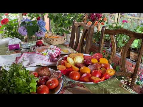 Видео: Выходные на даче / срочно обрезаю листья поливаю собираю урожай / планы на выходные