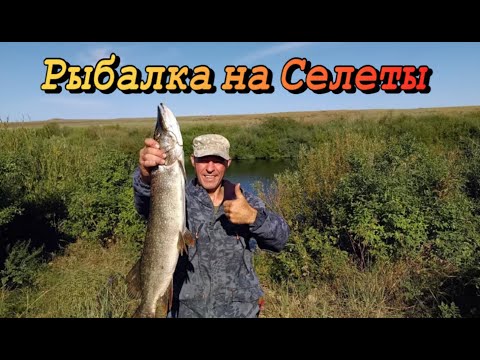 Видео: Рыбалка на Селеты 2025