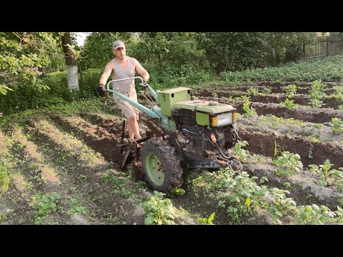 Видео: Підгортання картоплі комбінованими дисковими підгортачами