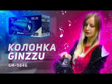 Видео: Колонка Ginzzu GM-984G