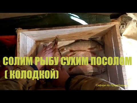 Видео: Как солят рыбу колодкой в Прииртышье