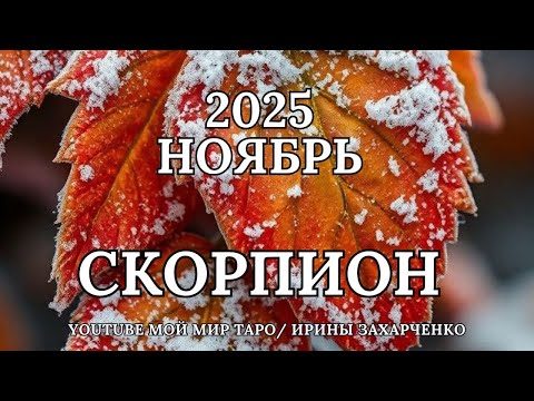 Видео: СКОРПИОН♏🍂НОЯБРЬ 2025 🍁Таро прогноз для Скорпионов/Tarot forecast from Scorpions
