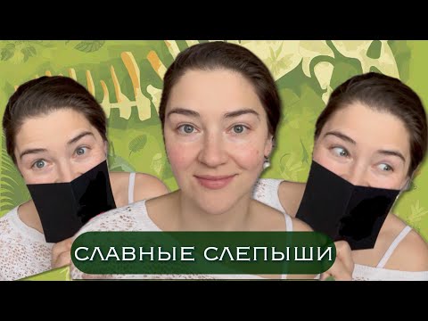 Видео: слепые затесты: turbo animal