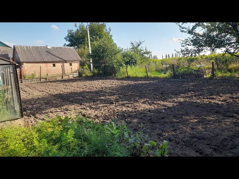 Видео: ДТЗ-470 БН - ротоватори - борона і овес посіяний