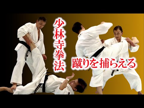 Видео: Закончите все, пока противник бьет ногами / Mentality of Shorinji Kempo