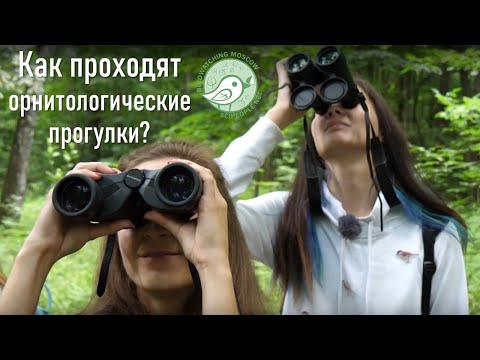 Видео: Орнитологическая прогулка с Birdwatching Moscow