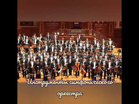 Видео: Инструменты симфонического оркестра/видео лекция