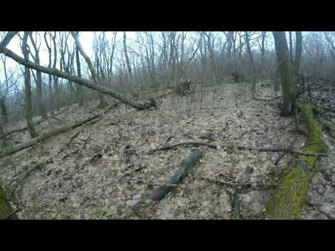 Видео: Охота на зайца. заяц #4 хороший день, достойные трофеи