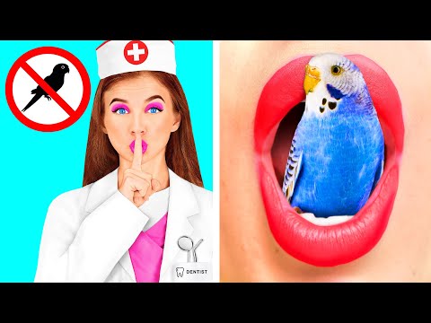 Видео: Как Спрятать Животных от Стоматолога | Смешные Ситуации и Неудачи от TeenTeam Challenge